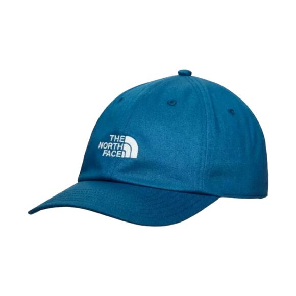 The North Face Other - NWT The North Face Backyard Ball Cap In Banff Blue